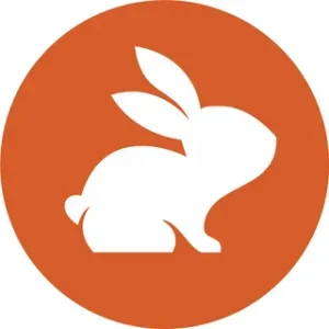 CodeRabbit